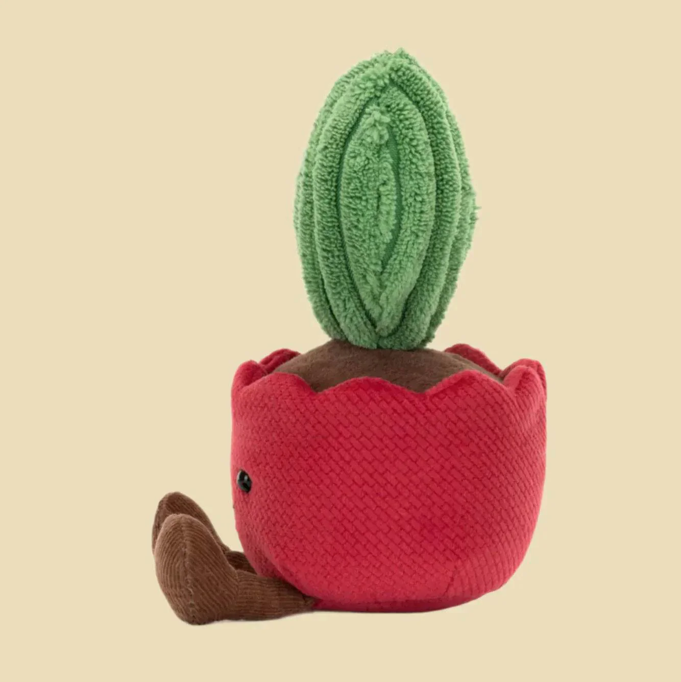 Amuseables Kerrii Cactus - Image 2