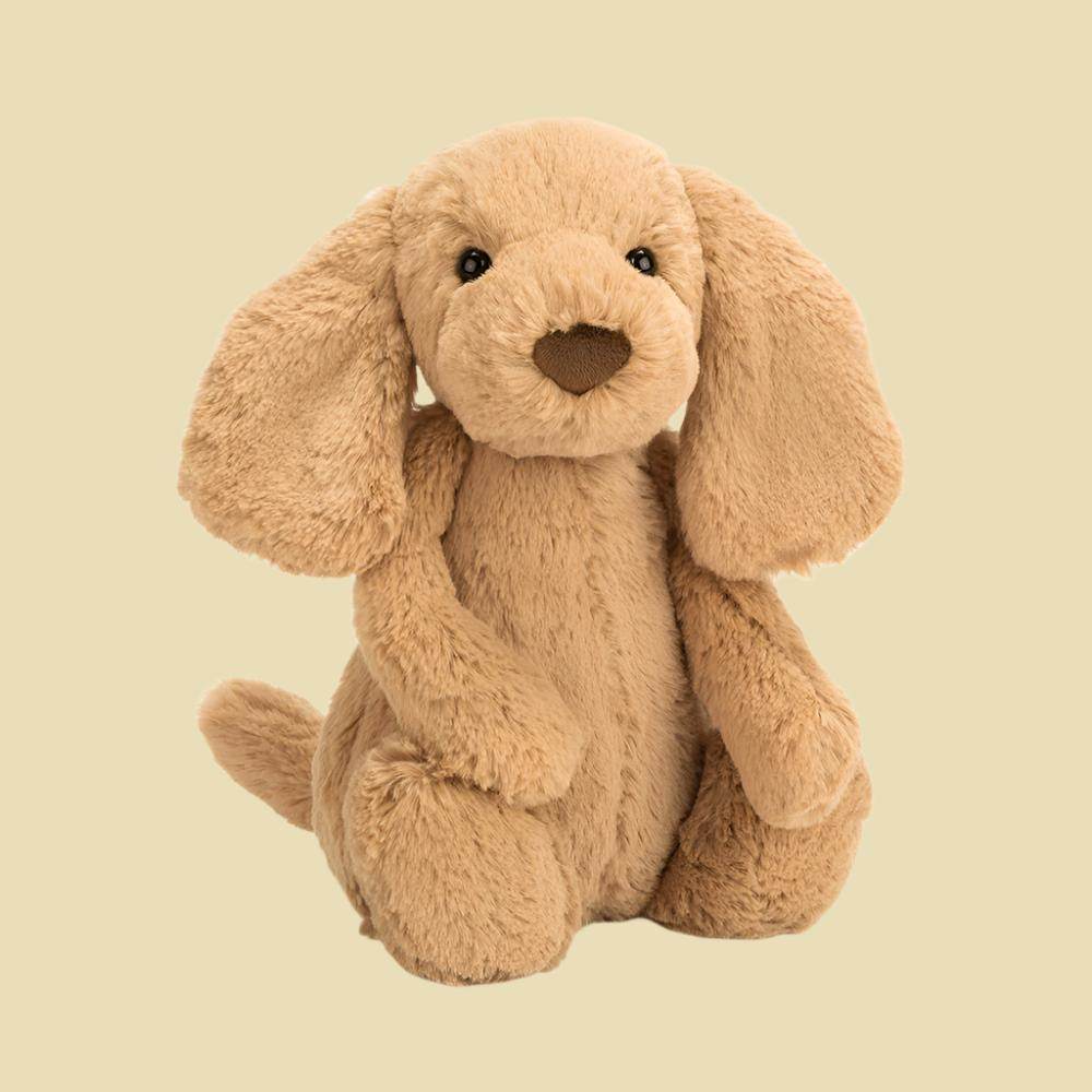 Bashful Toffee Puppy - Image 2