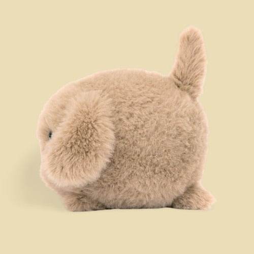 Caboodle Puppy - Image 2