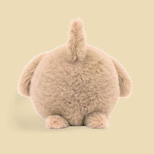 Caboodle Puppy - Image 3