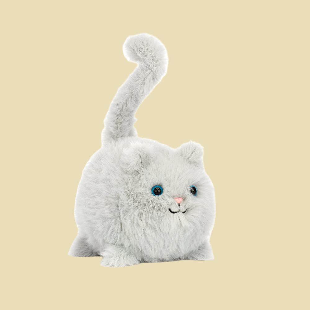 Kitten Caboodle