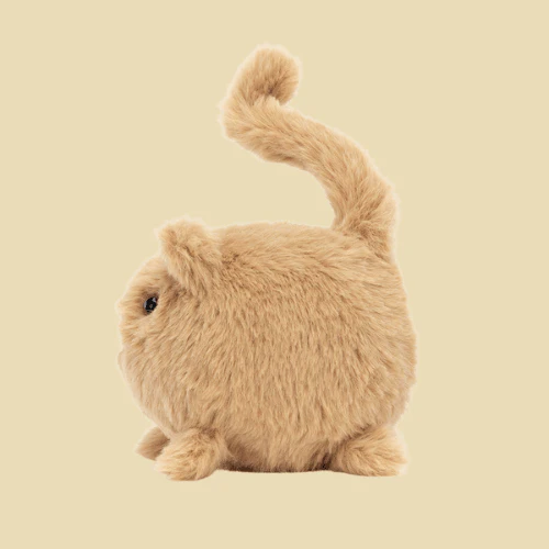 Kitten Caboodle Ginger - Image 2