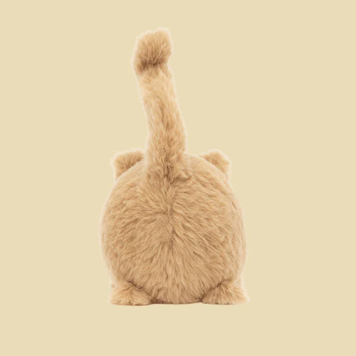 Kitten Caboodle Ginger - Image 3