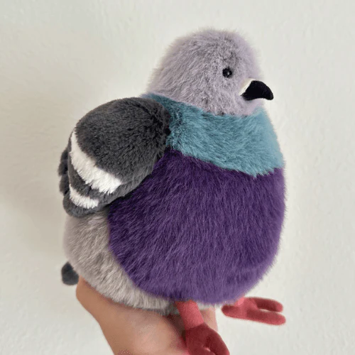 Leicester Pigeon