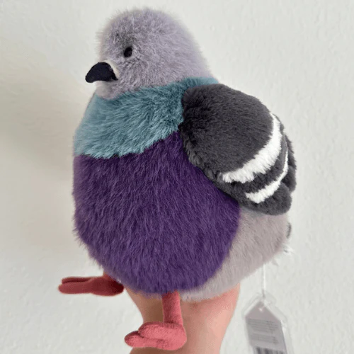 Leicester Pigeon - Image 2