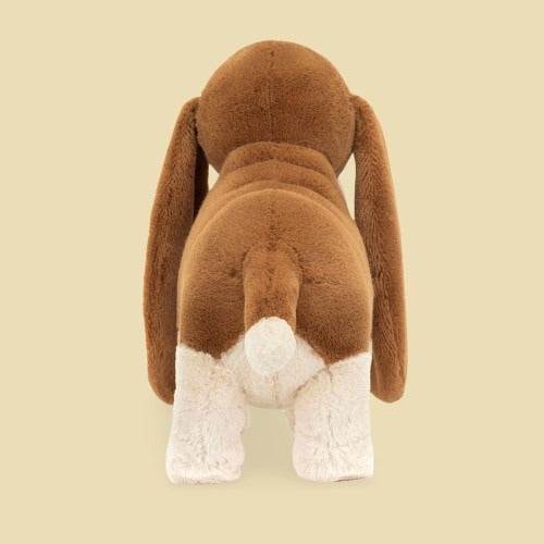 Randall Basset Hound - Image 3
