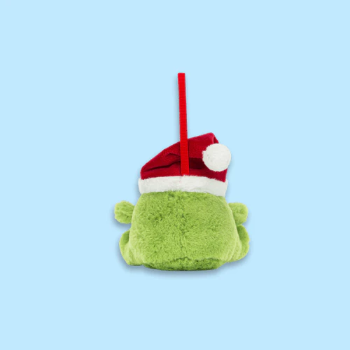 Ricky Rain Frog Decoration - Image 4