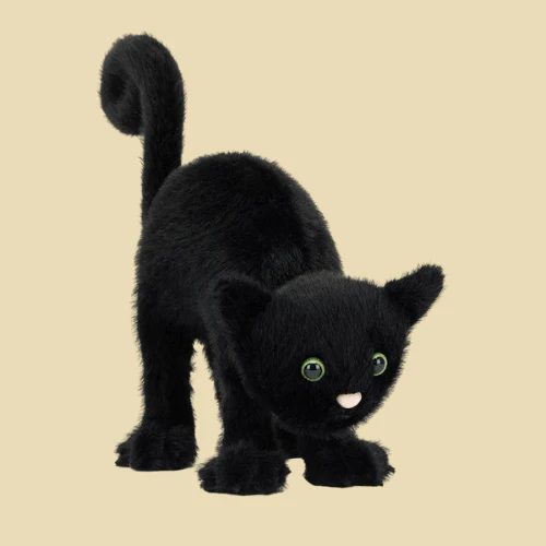 Spookipaws Cat